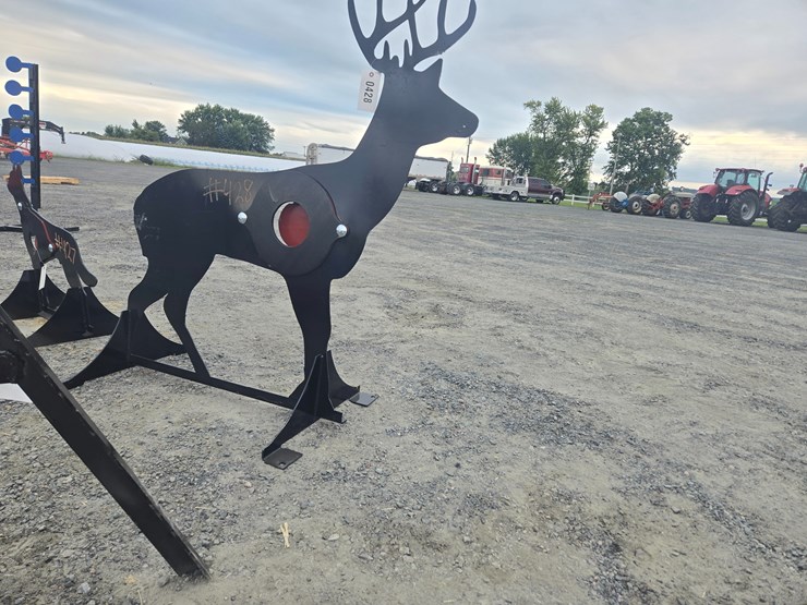 #428-•-shooting-target-image-2