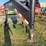 2007-delta-gooseneck-28ft-long,-with-dovetail,-ramps,-20,000lb-axles,-oil-bath-hubs,-good-tires,-lights-work,-vin--4mwfs28287n019245-image-3