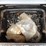 echo-srm-225-weedeater,-container-image-5
