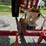 #120-•-2024-timberbuddy-mp360-portable-bandmill-image-79