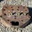 john-deere-model-g-head-image-4