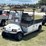 cruise-car-electric-utility-cart-image-1