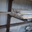 lumber-2x4-boards-44017-image-3
