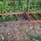 #130-•-2000-wood-mizer-200-twin-blade-edger-image-25
