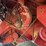 case-ih-1660-image-8