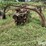 rake-image-3