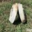 wheel-weights-image-4