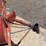 new-holland-28-image-10