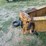 #32-•-#26807-•-1999-winston-ap2102560-20'-t/a-steel-pintle-hitch-equipment-trailer-1w9ap252bxh202819-image-20