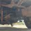 2008-ford-f450-image-13