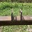 homemade-bale-spear-image-10