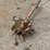 lever-loader-control-image-2