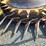 #383-•-john-deere-676-corn-head-image-6