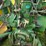 1982-john-deere-2940-image-35