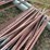 25-count--6'-t-posts-image-2