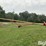westfield-mkx1063-auger-image-4