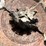 john-deere-model-b-flywheel-image-7