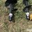 countyline-tsc-21-0220-post-hole-digger-image-12