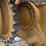 2013-cat-dgn-lgp-dozer-image-20