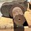 john-deere-model-g-crankshaft-image-7
