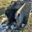 #109-•-2017-okada-top270-breaker-attachment-image-14
