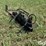 homemade-log-splitter-image-7