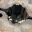 john-deere-model-g-flywheel-image-4