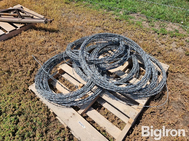 barbed-wire-image-1