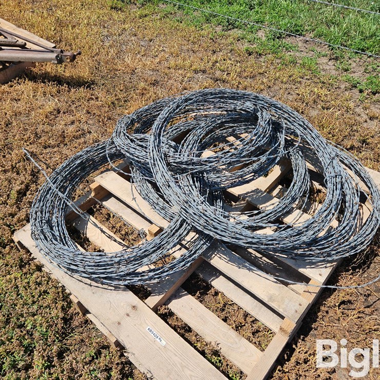Barbed Wire