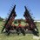 2012-case-ih-200-image-6