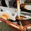 willmar-600-image-23