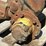 john-deere-roll-o-matic-front-end-image-9