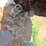 #86-•-#26820-•-lot-of-(2)-200lb-propane-tanks-image-7