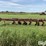 massey-ferguson-880-image-8