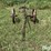 tillage-image-2