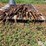 electric-fence-&-steel-posts-image-8
