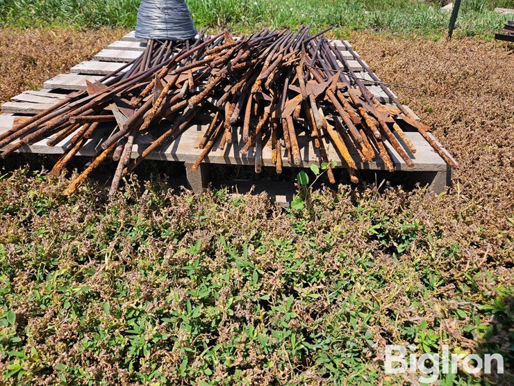 electric-fence-&-steel-posts-image-8
