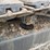 2022-caterpillar-305.5-image-9