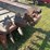 schultz-spreadmaster-manure-spreader-image-5