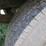 #19-•-#26805-•-1982-chevrolet-scottsdale-pickup-1gcgc24m5cj147797-image-6