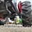 massey-ferguson-65-image-21