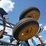 #18871-•-case-ih-tiger-mate-ii-cultivator-image-26