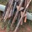 25-count--6'-t-posts-image-3