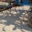 #18871-•-case-ih-tiger-mate-ii-cultivator-image-21