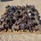 #81159-•-lot-of-heavy-duty-valves-image-2