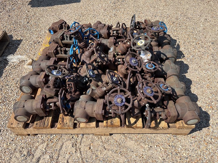 #81159-•-lot-of-heavy-duty-valves-image-2