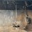 ag-pro-fertilizer-spreader-image-43