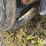 wacker-neuson-wl32-image-42
