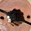 john-deere-model-g-flywheel-image-3