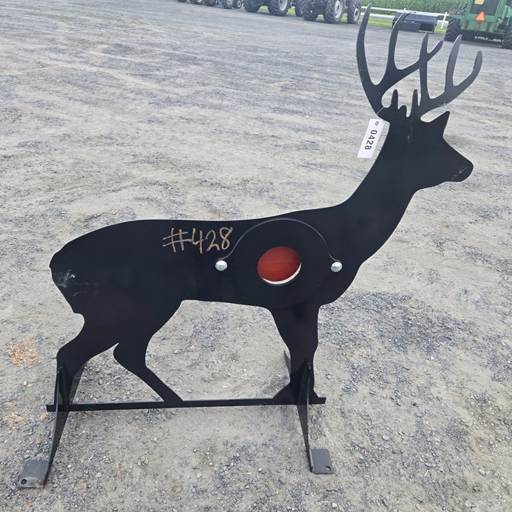 #428 • Shooting target